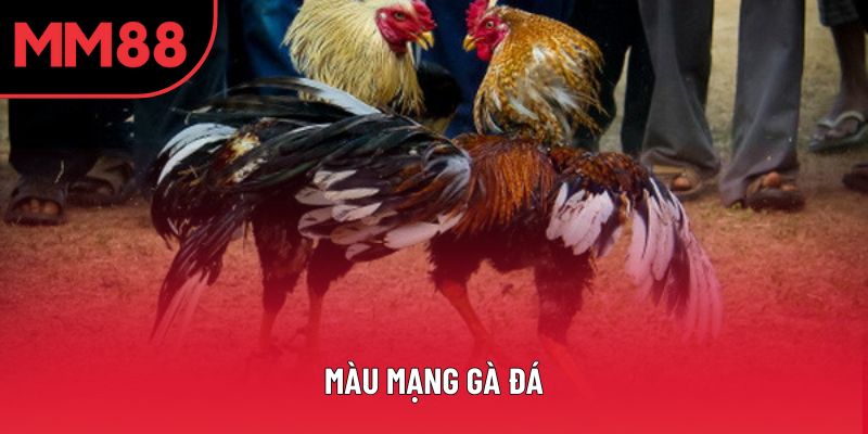 Màu Mạng Gà Đá Và Bí Quyết Chọn Chiến Kê Đỉnh Cao